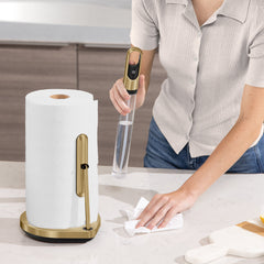 paper towel pump